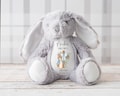 Personalised Christening Gift,Peter Rabbit Teddy,Baptism,Boys Christening Gift,Bunny Rabbit,Christening Gift For Boy,Gift for Boys