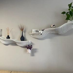 May include: Two white, wave-shaped wall shelves with black vases, dried plants, and small potted plants. The shelves are mounted on a light gray wall, creating a modern, minimalist aesthetic. One shelf holds a green plant.