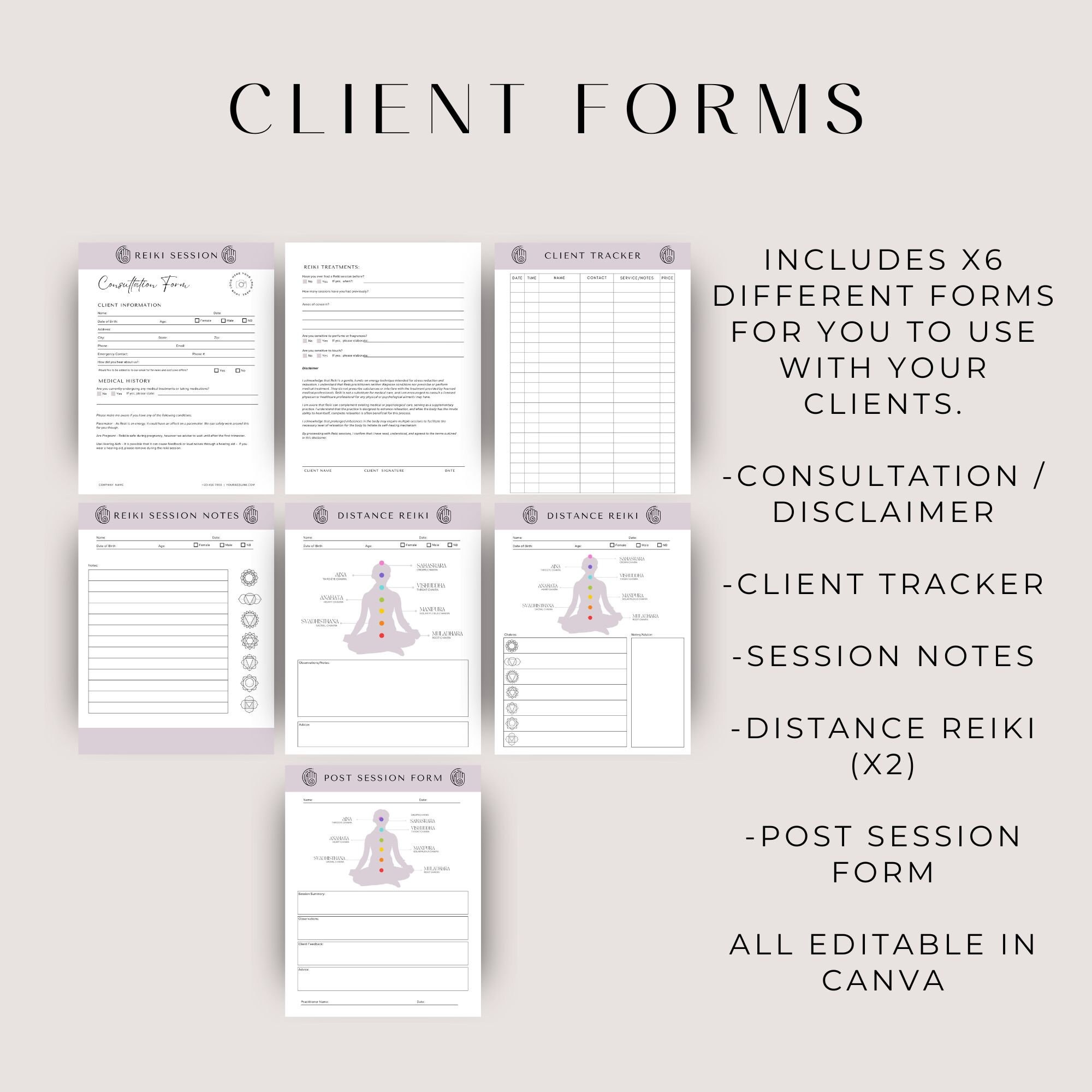 Reiki Business Bundle, Reiki Client Intake Consent Form, Distance ...