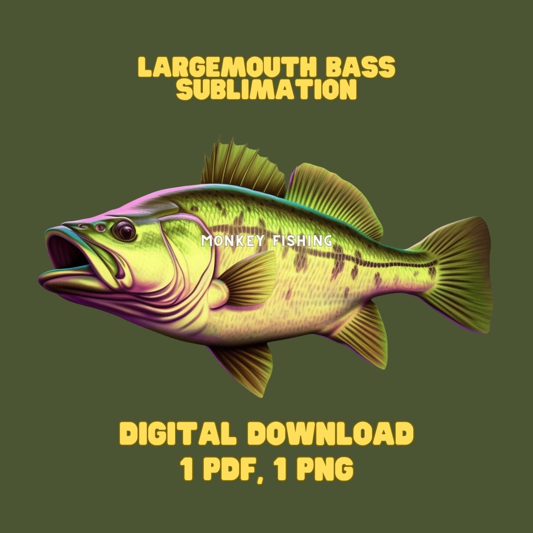 Black Sea Bass Fishing PNG Images for Printing Fishing Etsy