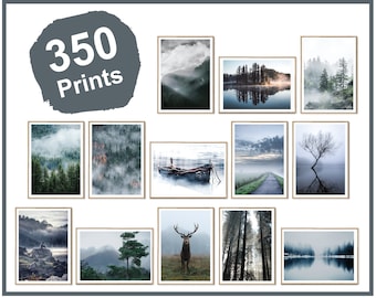 350枚のプリント FOGGY Nature Collection、自然ウォールアート、霧の自然プリント、自然プリント、霧の森ウォールアート