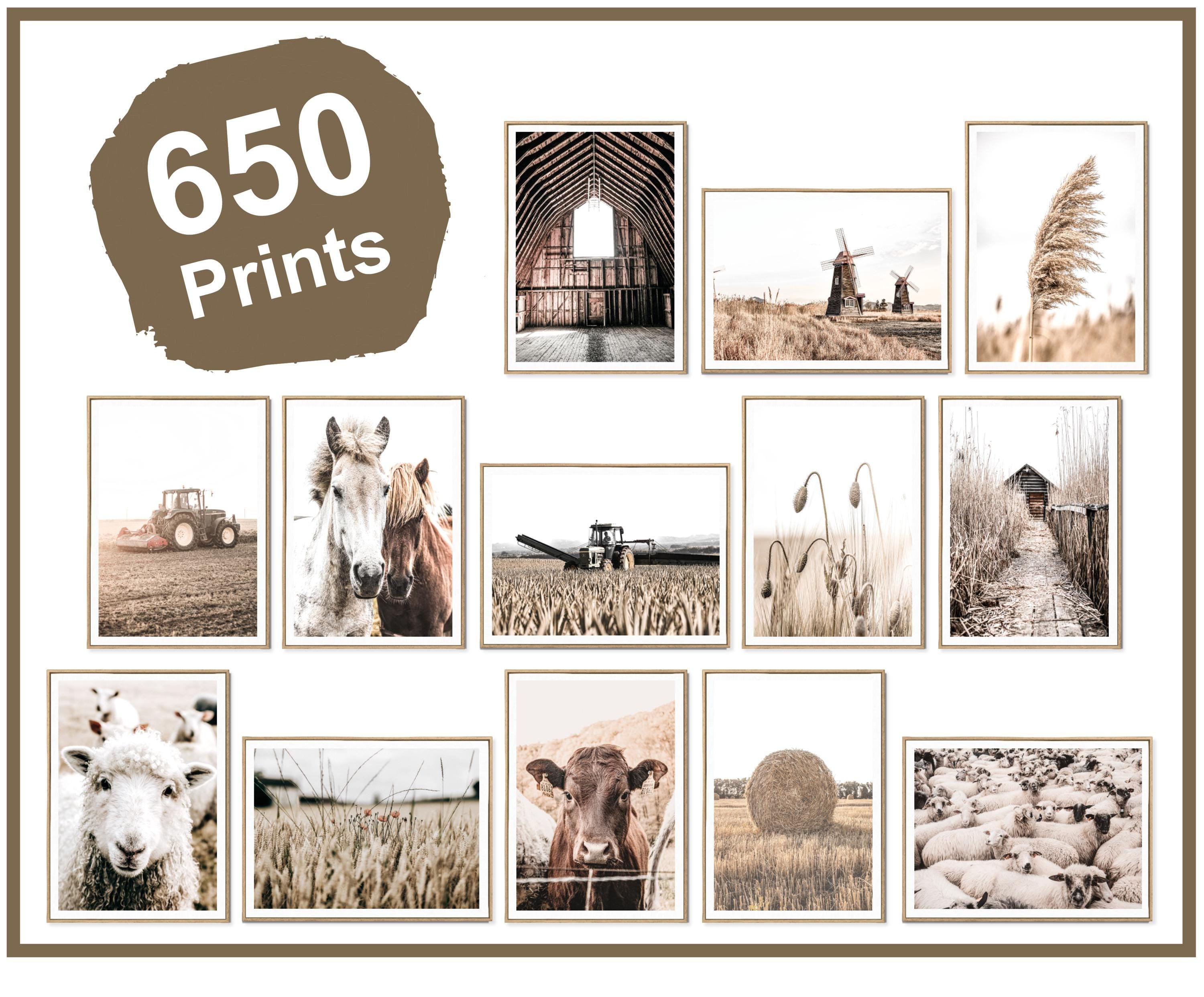 650枚のプリントFARMHOUSEコレクション、素朴な壁アート、ファームハウスの装飾、ファームプリント、西洋の壁装飾、納屋のアートプリント