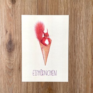 Illustration Tier Eishörnchen