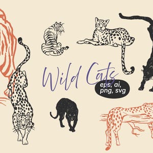Wild Cats line sketches hand drawn illustrations, eps svg vector, lion print, panther ink sketch, tattoo art, canva elements, outline tropic