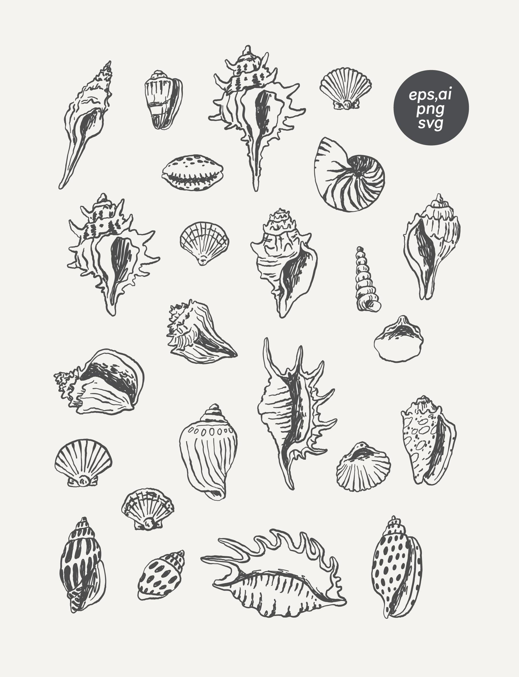 Vector Line Art Sea Shells Bundle, Vintage Minimalist Ocean Decor ...