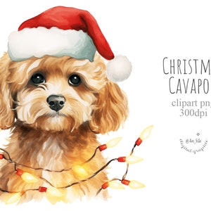 Christmas Cavapoo dog in santa hat clipart png digital download, Christmas lights, greeting card, xmas, watercolor illustration