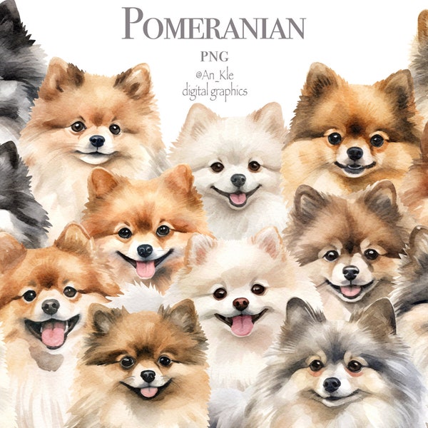 Pomeranian dogs clipart png digital download, Pom spitz watercolor images, dog breed bundle, clipart set, commercial pod