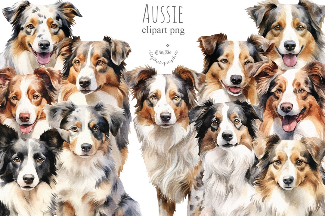 Aussie clipart png digital download, Australian shepherd watercolor ...