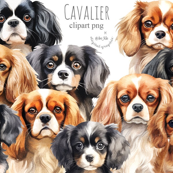 Cavalier clipart png digital download, Cavalier king charles spaniel watercolor illustrations png transparent, commercial pod