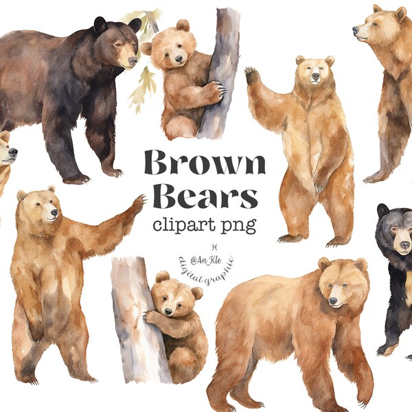 Brown bears watercolor clipart png digital download, baby bear, woodland animals, bruin, grizzly, whimsical, folk tales, enchanted