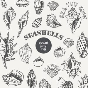 Conchas marinas SVG, imágenes prediseñadas e impresiones de estética de pescador, plantilla de logotipo del océano, impresiones de vida marítima, arte lineal, garabatos minimalistas, dibujos a mano