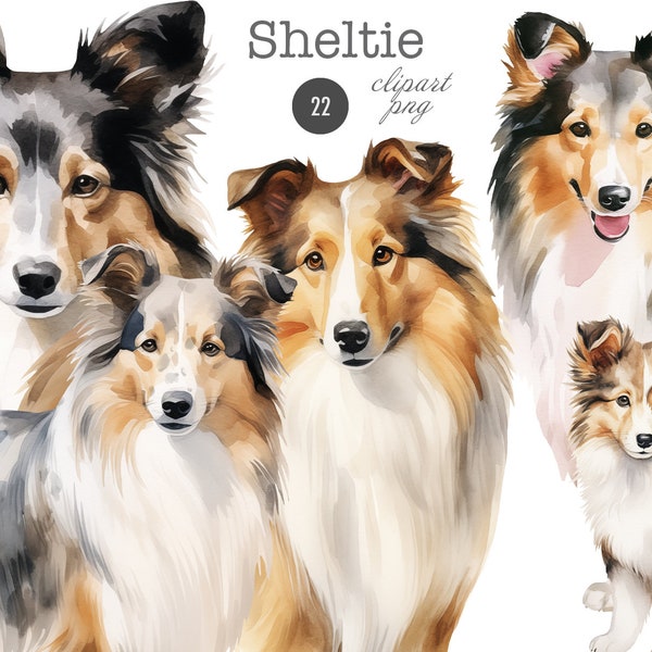 Sheltie Clipart png digitaler download, Shetland Schäferhund Aquarell Hunde und Welpen Illustrationen png transparent, kommerzielle pod