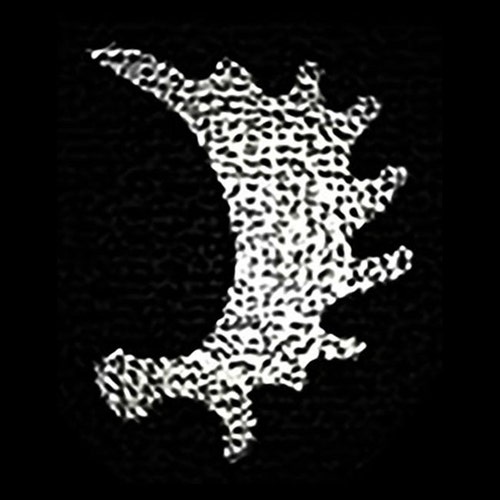 d'origine Portachiavi con aquila tedesca di alta qualità con stemma tedesco, regalo tedesco, aquila tedesca, portachiavi con bandiera tedesca, argento