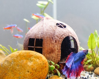 Coconut Caves for Aquarium - Perfect for Shrimp Tank, Cichlid Hides, Betta Cave, Axolotl Hide, Natural Aquarium Decor, Aquarium Hideout