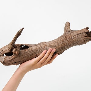 14&quot; Manzanita Driftwood Branch | Natural Aquarium & Terrarium Décor | Perfect for Aquascaping, Reptile Tanks, Vivariums | Shrimp Hideouts
