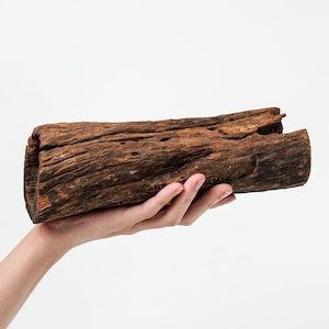 Driftwood Aquarium Cave, Shrimp Tank Advancement, Normal Fish Tank, 9&quot; Driftwood Aquarium Cavern, Aquascape Driftwood Fish Tank Upgrades
