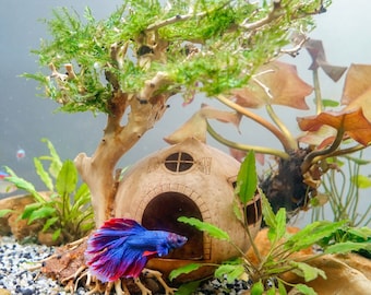 Coconut Shell Fish Cave With Driftwood Bonsai, Aquarium Hideout, Coconut Cave, Fish Tank Cave, Cichlid Cave, Betta Fish Cave, Shrimp Cave