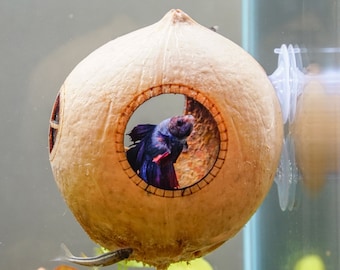 Cave Coconut Shell Cave With Suction Cup Mounted On The Wall Of The Fish Tank, Betta Suction Hide, Cichlid Cave, Fish Tank Cave, Shrimp Cave