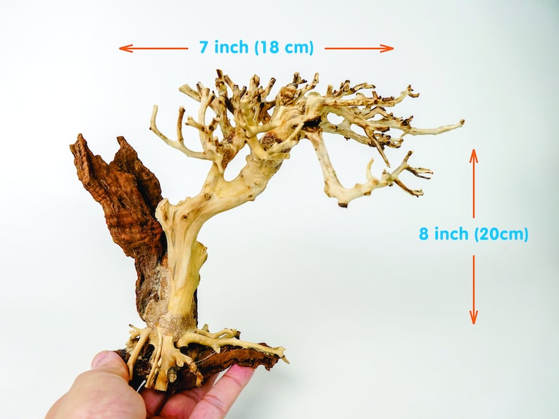 Aquarium Driftwood Moss Bonsai Tree Aquascape Driftwood Etsy UK