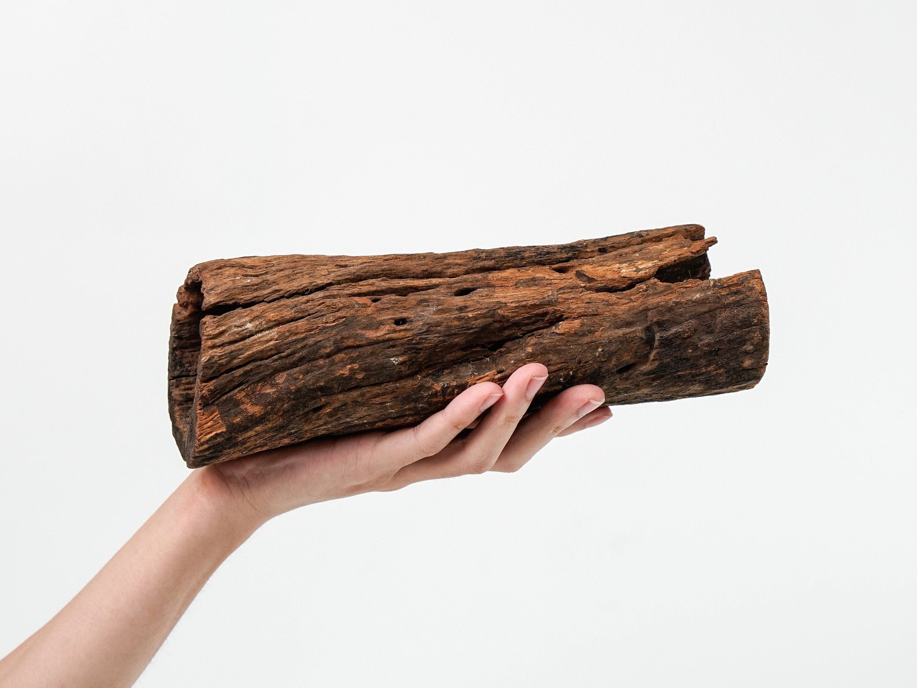 Driftwood Aquarium Cave, Shrimp Tank Advancement, Normal Fish Tank, 9" Driftwood Aquarium Cavern, Aquascape Driftwood Fish Tank Upgrades
