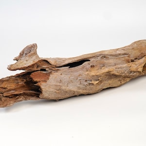 Driftwood Aquarium Cave Decor, Shrimp Tank Advancement, Normal Fish Tank, Aquascape Fish Tank Wood, Nano Aquarium decor