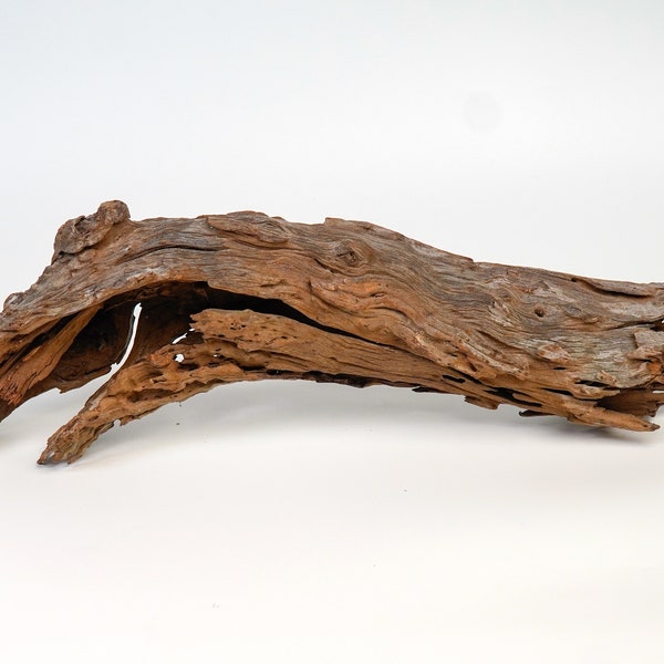 17" Driftwood Aquarium Decor, Shrimp Tank Enrichment, Reptile Enclosures of Driftwood, Natural and Artistic Decoration for Aquarium