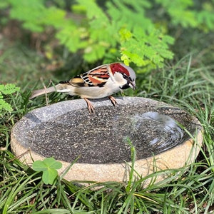 Handcrafted Natural River stone Bird Bath for Balcony, Patio, Natural River Stone Bowl Polished Inside, Garden or Yard, RiverStone Bird Bath