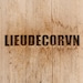 LieuDecorVN store logo