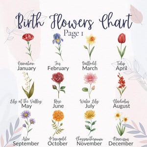 Op de afbeelding: Een aquarel geboortebloemenkaart getiteld "Birth Flowers Chart Page 1". Elke maand wordt vertegenwoordigd door een andere bloem, waaronder anjer, iris, narcis, tulp, lelietje-van-dalen, roos, waterlelie, gladiolus, aster, goudsbloem, chrysant en narcis.