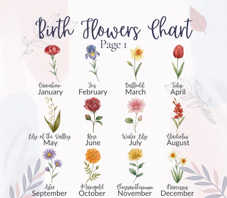 Op de afbeelding: Een aquarel geboortebloemenkaart getiteld "Birth Flowers Chart Page 1". Elke maand wordt vertegenwoordigd door een andere bloem, waaronder anjer, iris, narcis, tulp, lelietje-van-dalen, roos, waterlelie, gladiolus, aster, goudsbloem, chrysant en narcis.