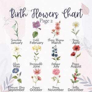 Op de afbeelding: Een geboortebloemenkaart, pagina 2, met illustraties van bloemen voor elke maand. Bevat bloemen zoals sneeuwklokje, viooltje, kersenbloesem en madeliefje. De tekst bevat de maand en de naam van de bloem.