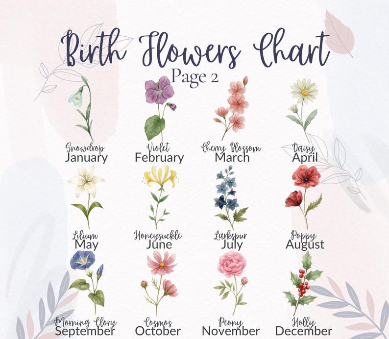Op de afbeelding: Een geboortebloemenkaart, pagina 2, met illustraties van bloemen voor elke maand. Bevat bloemen zoals sneeuwklokje, viooltje, kersenbloesem en madeliefje. De tekst bevat de maand en de naam van de bloem.