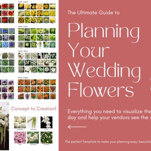 Op de afbeelding: Een gids voor het plannen van trouwbloemen, met een kleurengecodeerde bloemenkaart met verschillende bloemen. De gids bevat de tekst "Planning Your Wedding Flowers" op een roze achtergrond.