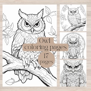 Owl coloring page printable coloring pages for kids coloring book for adults