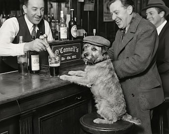 May include: A black and white photograph of a dog wearing a cap, standing on a stool at a bar. A bartender pours a drink while two men laugh. The bar has bottles and the sign reads "O'Connell's Ale - Est. 1912."
