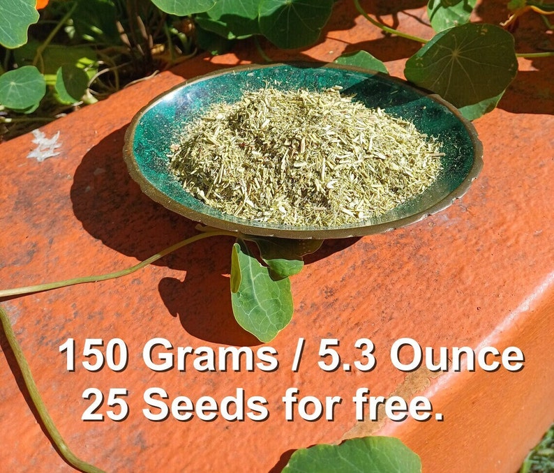 Cancer Bush / Sutherlandia 150 grams, 5.3 ounce. image 1