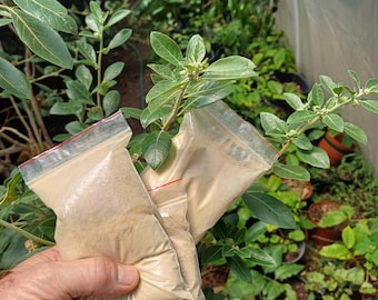 Poudre de racine d'ashwagandha 100 grammes