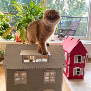 May include: A brown and white Scottish Fold cat sits on the roof of a light gray dollhouse with a red dollhouse in the background.