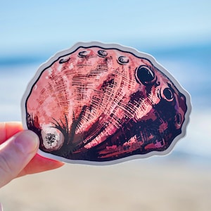 Red Abalone Shell Vinyl Sticker, Waterproof 4 Inch Beach Decal