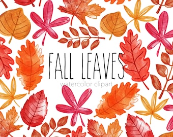 Commercial Use Fall Leaves clipart set 300 DPI transparent background