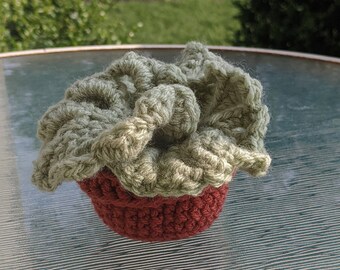 Handmade Crochet Monstera Leaf Coaster Set: Potted Plant Coasters