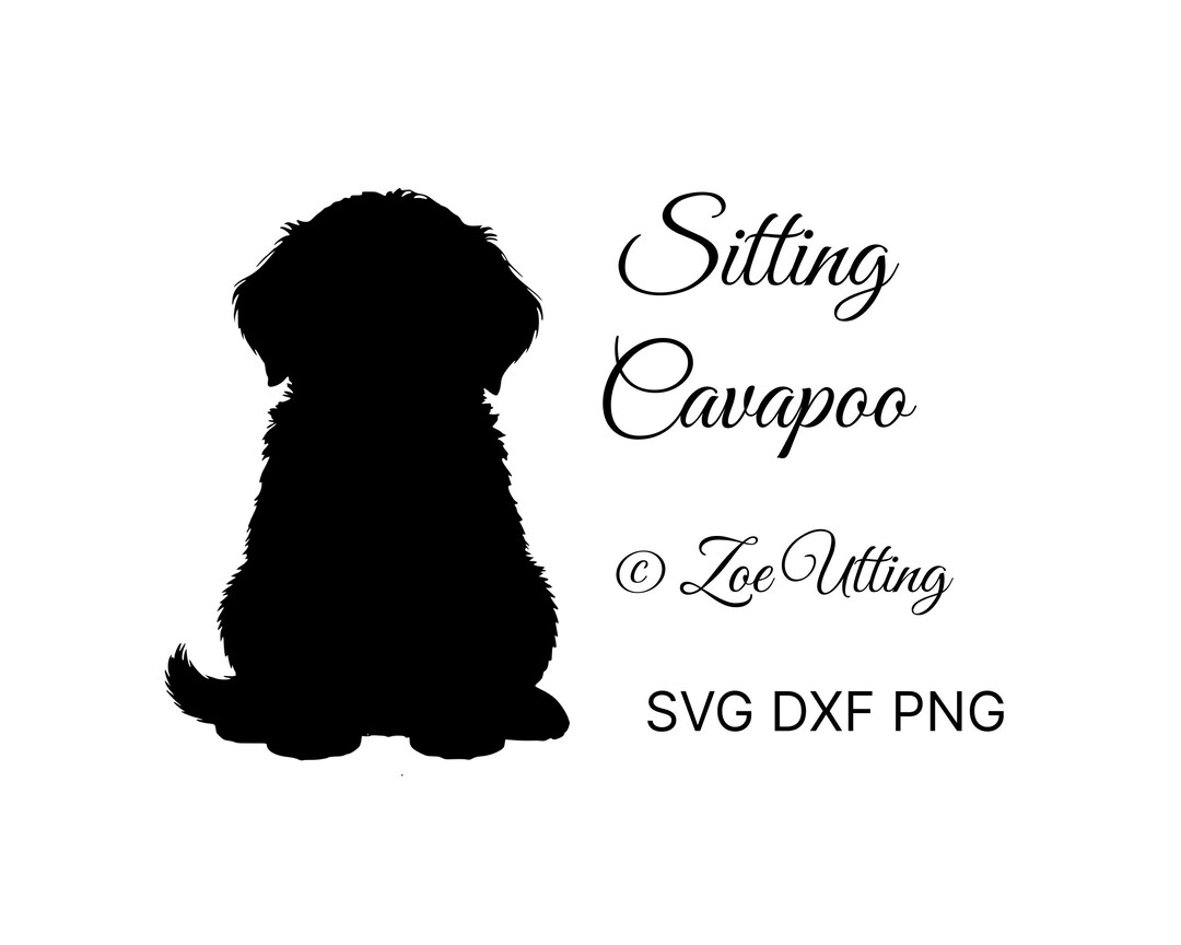 Cavapoo Silh Cavapoo Puppy Silhouette | SVG PNG DXF, Commercial License (digital ...