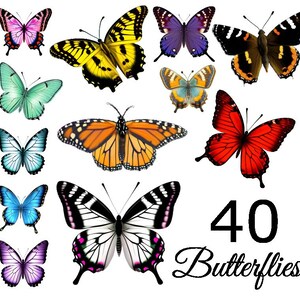 Butterfly Clipart Bundle | 40 PNG Files | Realistic Butterfly Graphics | Instant Digital Download