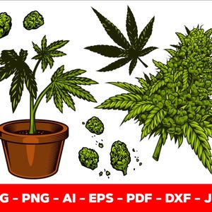 May include: A vector illustration of cannabis plants and buds. The image shows a potted plant, several buds, and leaves in green and brown. The bottom of the image has the text "SVG - PNG - AI - EPS - PDF - DXF - JPG" in white text on a red background.