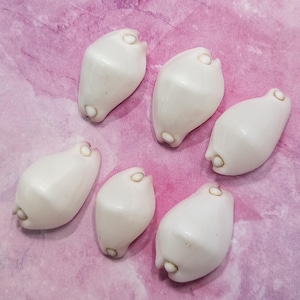 May include: Six white, glossy cowrie shells arranged on a pink and purple watercolor-style background. The shells have a smooth, rounded shape with a small opening at each end. They are a creamy white color.