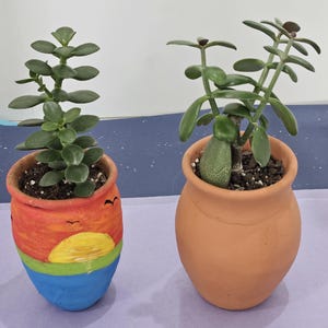 May include: Two small potted succulents. One is in a hand-painted ceramic pot with a sunset design in orange, yellow, blue, and green. The other is in a terracotta pot. Both pots contain soil and green succulents.