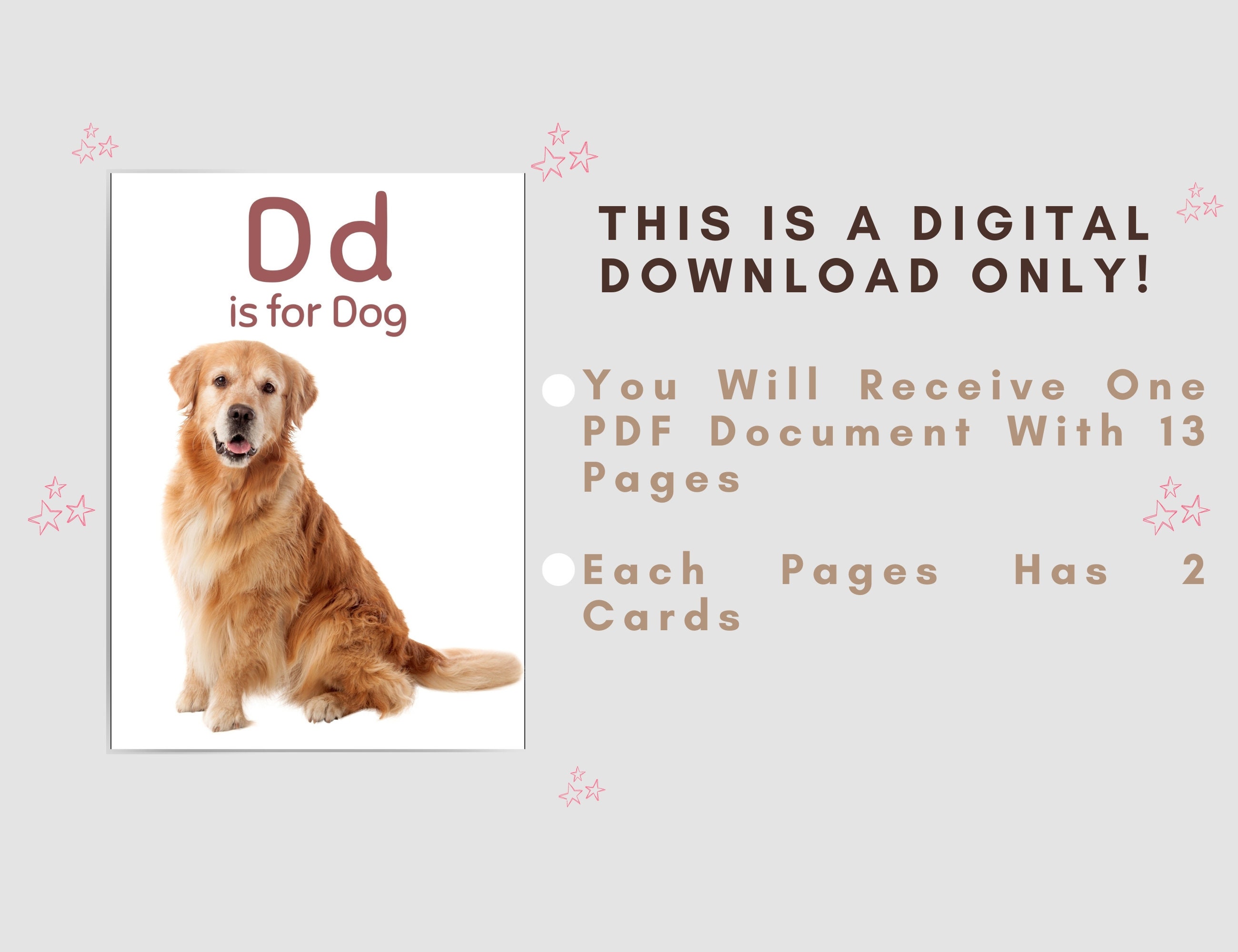 Printable Animal Alphabet Flashcards Preschool Alphabet Flash Etsy