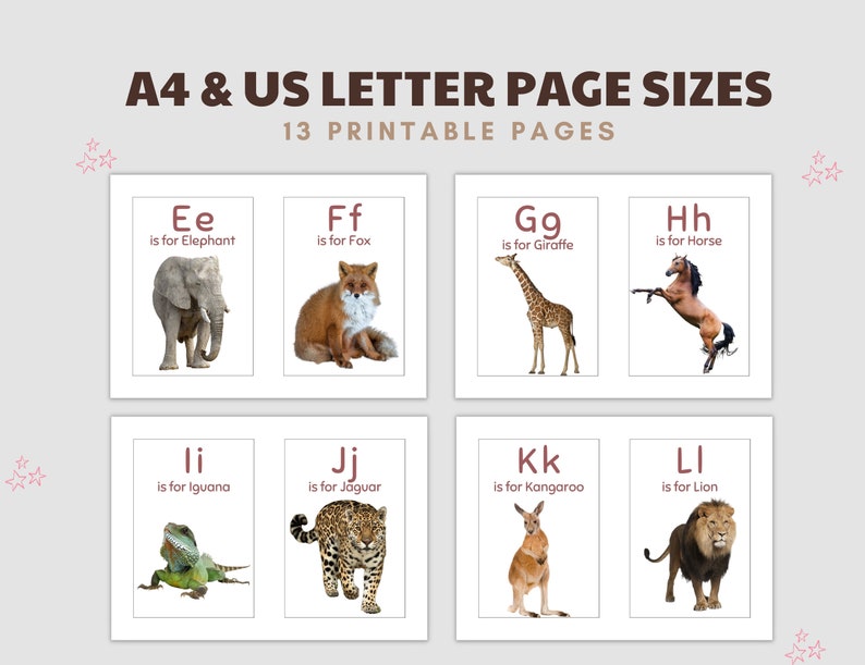 Printable Animal Alphabet Flashcards Preschool Alphabet Flash Etsy