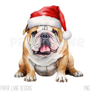 Britische Bulldogge Clipart Sublimation Weihnachten Bulldogge Clipart PNG Clipart Sublimation Tshirt Designs Clipart Printable