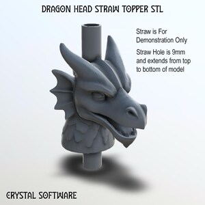 Op de afbeelding: Een grijze drakenkop-rietjesopzet met de tekst "DRAGON HEAD STRAW TOPPER STL". Het rietjesgat is 9 mm en loopt van boven naar beneden van het model. De tekst "Straw is For Demonstration Only" is ook zichtbaar.